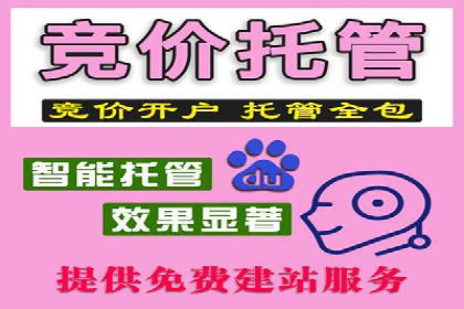 深度解析：某品牌如何通过百度推广提升销售额